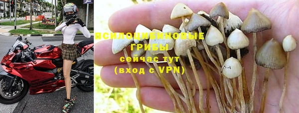 2c-b Аркадак