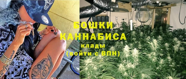 ГАЛЛЮЦИНОГЕННЫЕ ГРИБЫ Армянск